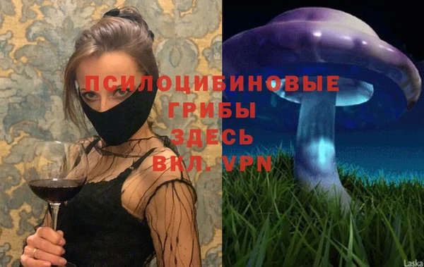 а пвп мука Мегион