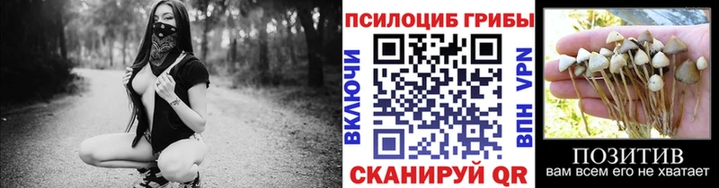 Псилоцибиновые грибы GOLDEN TEACHER  Саки 
